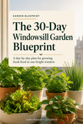 The 30-Day Windowsill Garden Blueprint